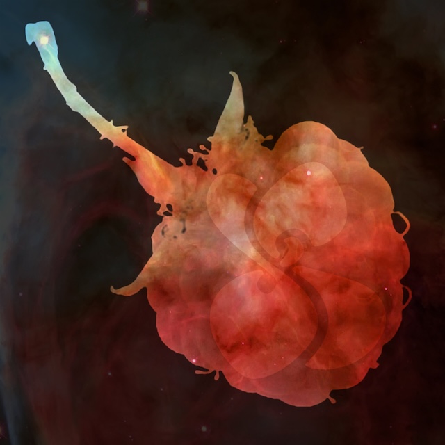 Radiolab Multiverse Cookbook - 2012